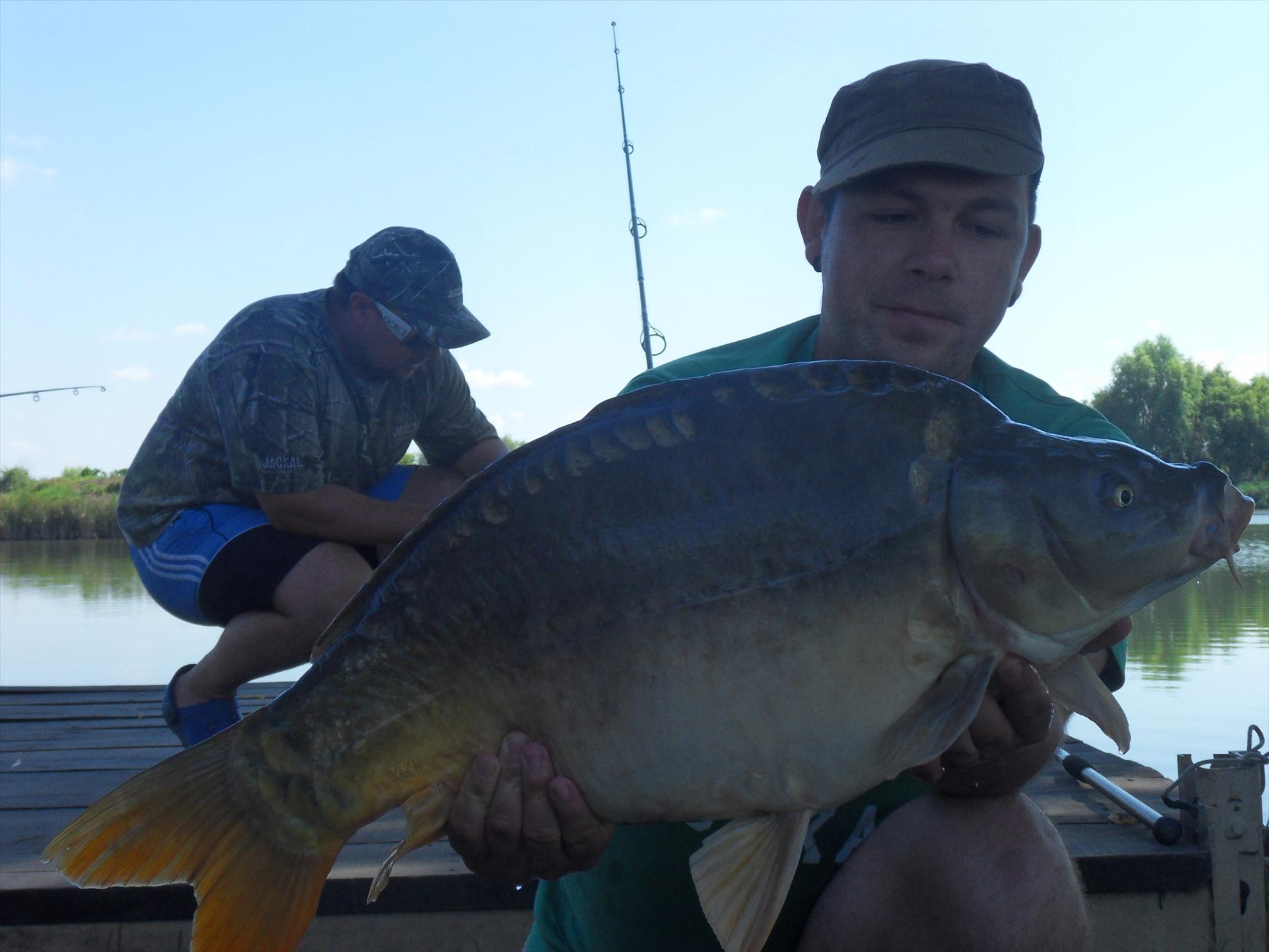 Nagykallo 2011 - nagykallo2011-209.JPG